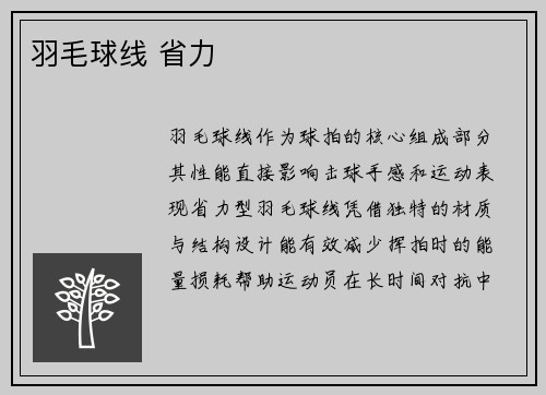 羽毛球线 省力